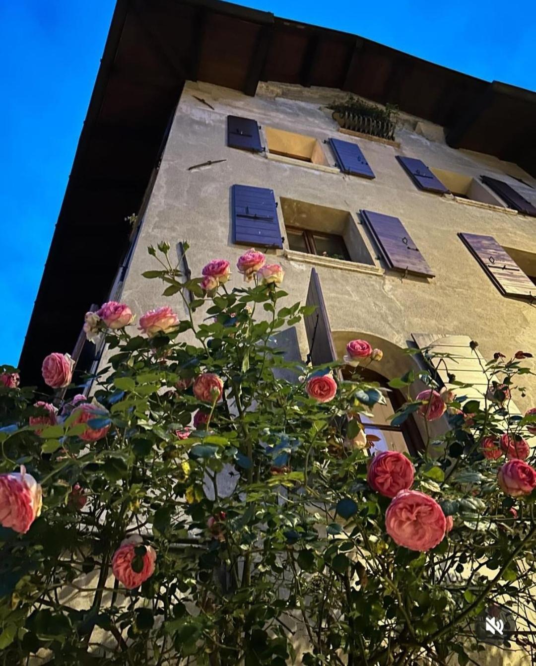 Via Mezzaterra 10 Apartment Feltre Bagian luar foto