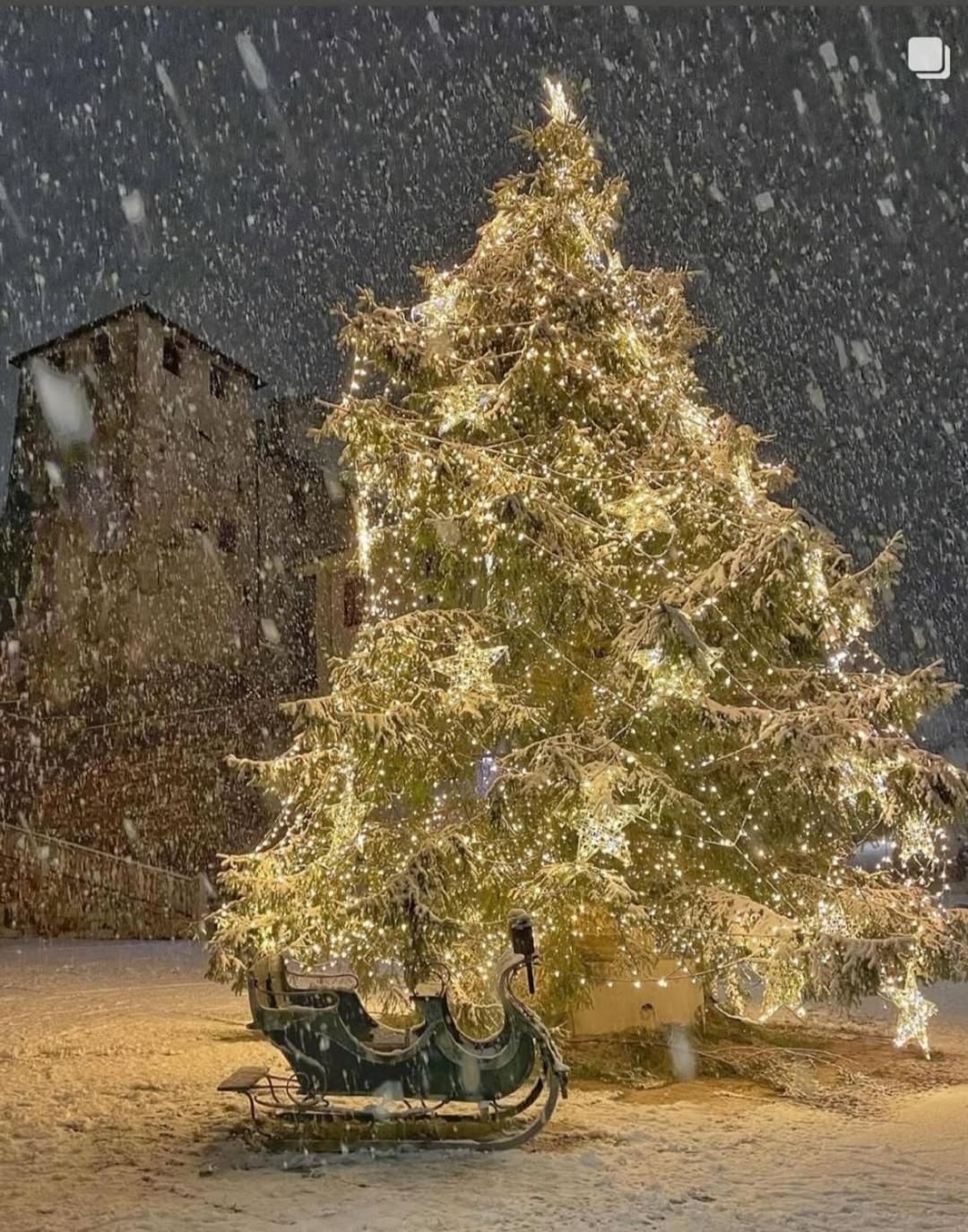 Via Mezzaterra 10 Apartment Feltre Bagian luar foto